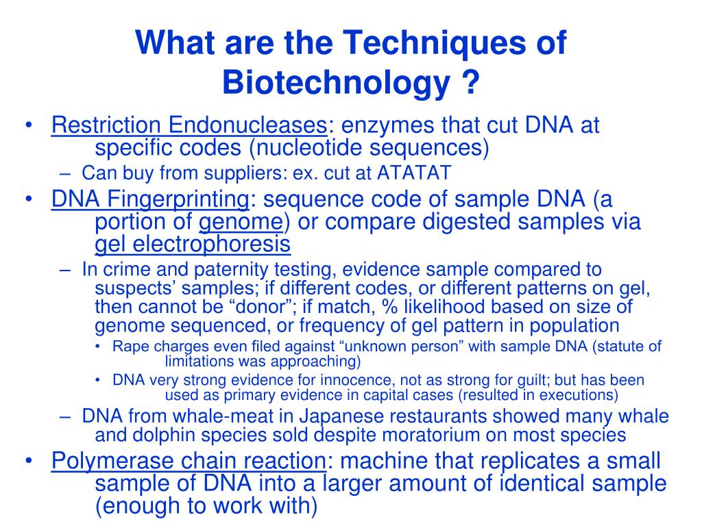 PPT What are the Techniques of Biotechnology ? PowerPoint