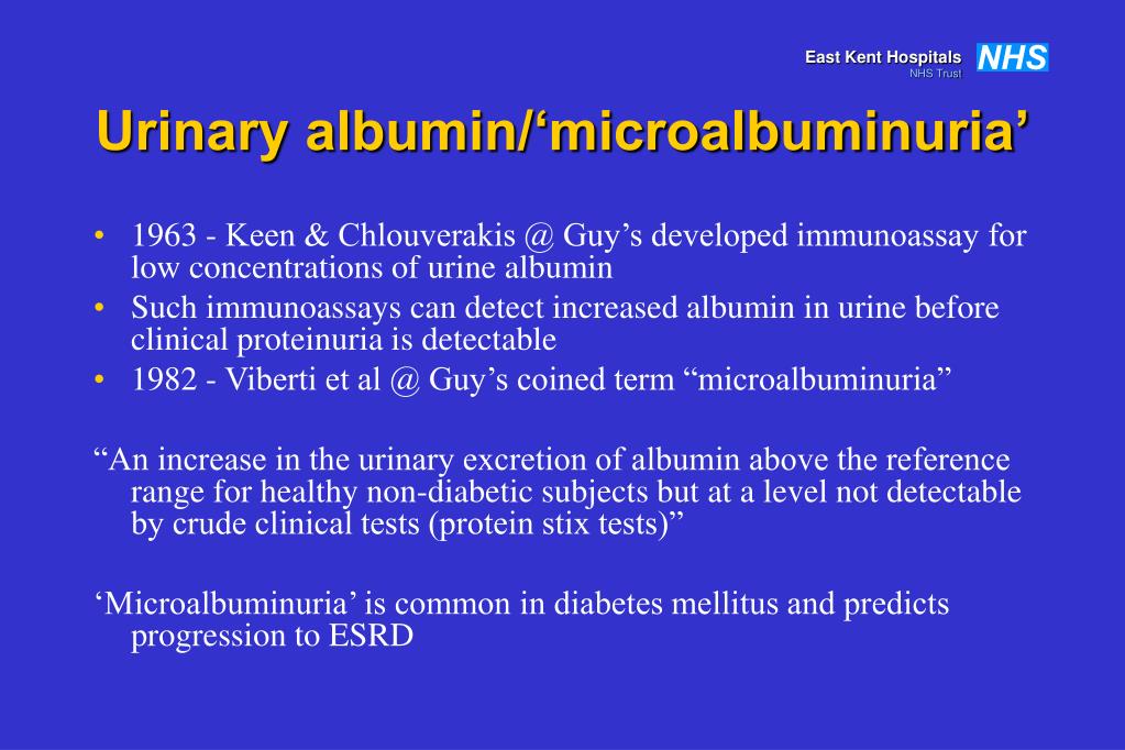 What Is Normal Albumin In Urine PPT - Kidney Function Testing - 2 PowerPoint Presentation, free download - ID:876933