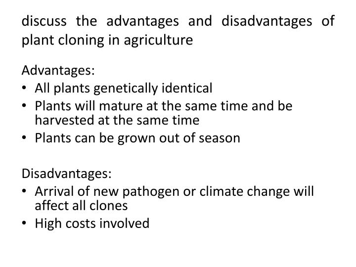 advantages and disadvantages cloning Cloning can be defined as the production of genetic copies that can develop genetically identical human organisms a cloned organism or a number of clones are formed using the same genetic material as in the original organism. advantages and disadvantages cloning Cloning can be defined as the production of genetic copies that can develop genetically identical human organisms a cloned organism or a number of clones are formed using the same genetic material as in the original organism.