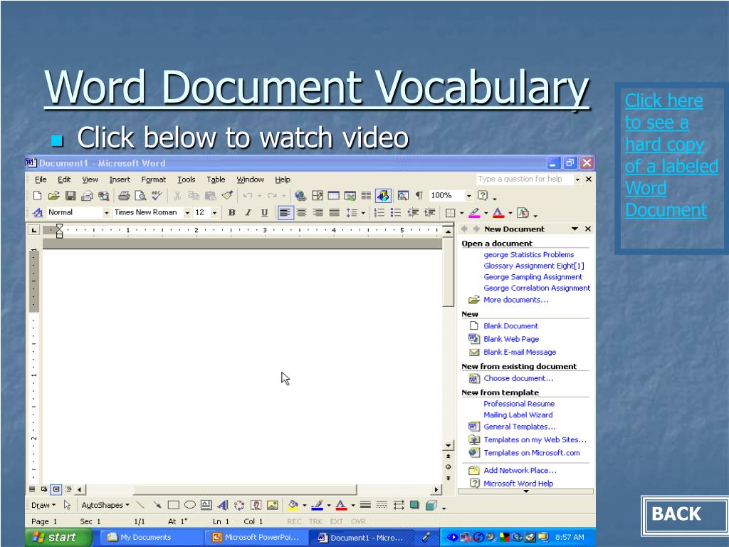 Basic Guide to Microsoft Word: Toolbars & Document Views - Video