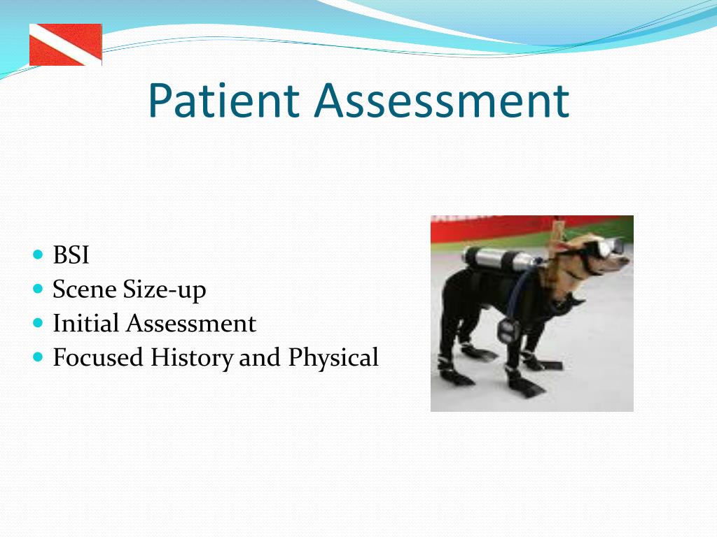 initial sizeup report initial sizeup report
