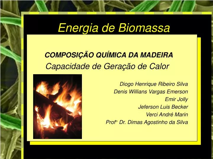 Vantagens E Desvantagens Da Energia Biomassa Brainly