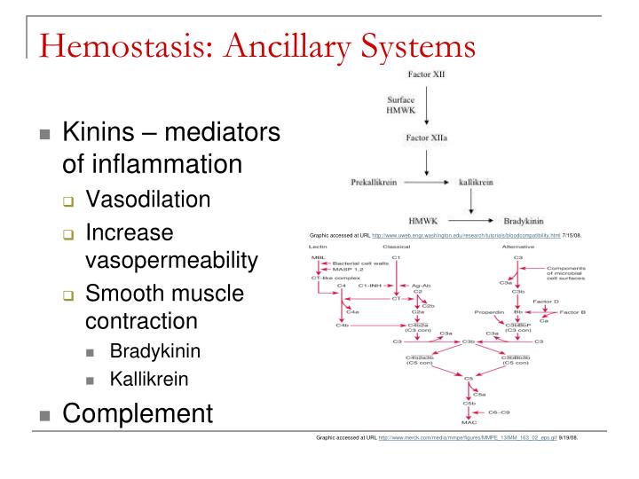 PPT Overview of Hemostasis PowerPoint Presentation ID88185