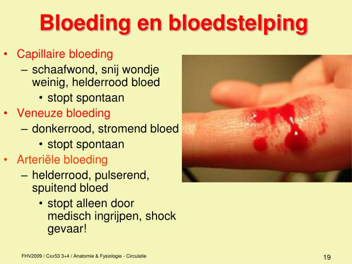 PPT Anatomie / fysiologie PowerPoint Presentation ID882896