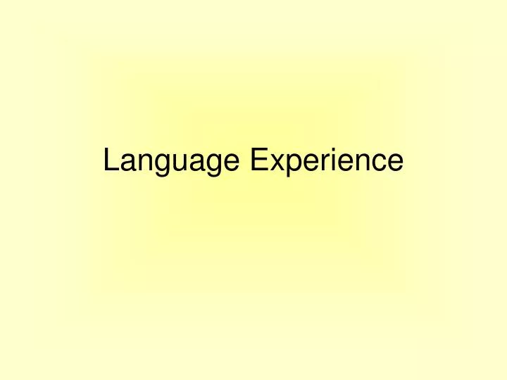 language experience n.