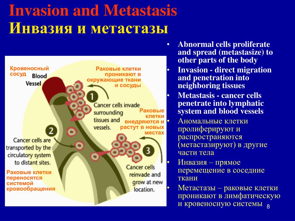 Пути метастазирования рака. Метастазирование в кровеносных. Молекулярные механизмы метастазирования. Инвазия и метастазирование биохимия.