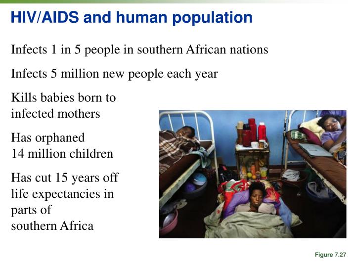 aids infected orphans essay She warned that the growing numbers of aids orphans means that the only 200 hiv/aids-infected 0 thoughts to “ aids orphans in africa essay. aids infected orphans essay She warned that the growing numbers of aids orphans means that the only 200 hiv/aids-infected 0 thoughts to “ aids orphans in africa essay.