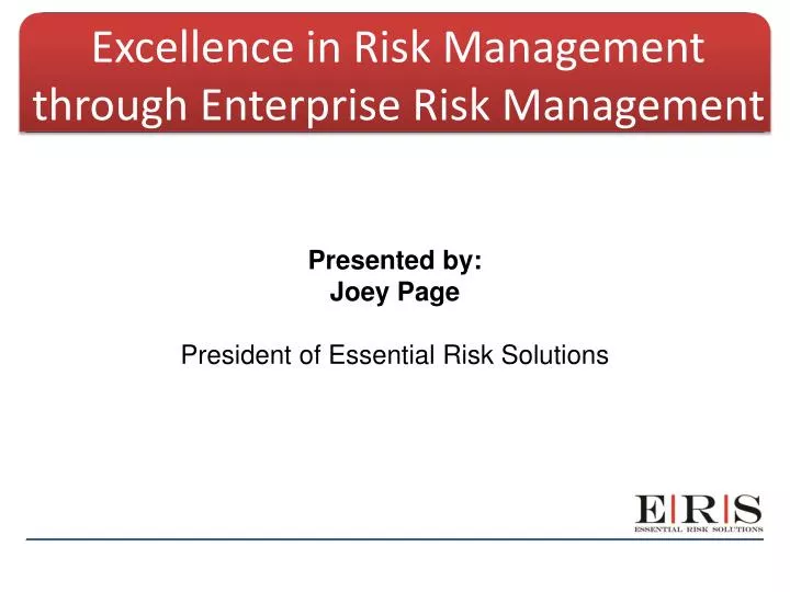 excellence in risk management through enterprise risk management n.
