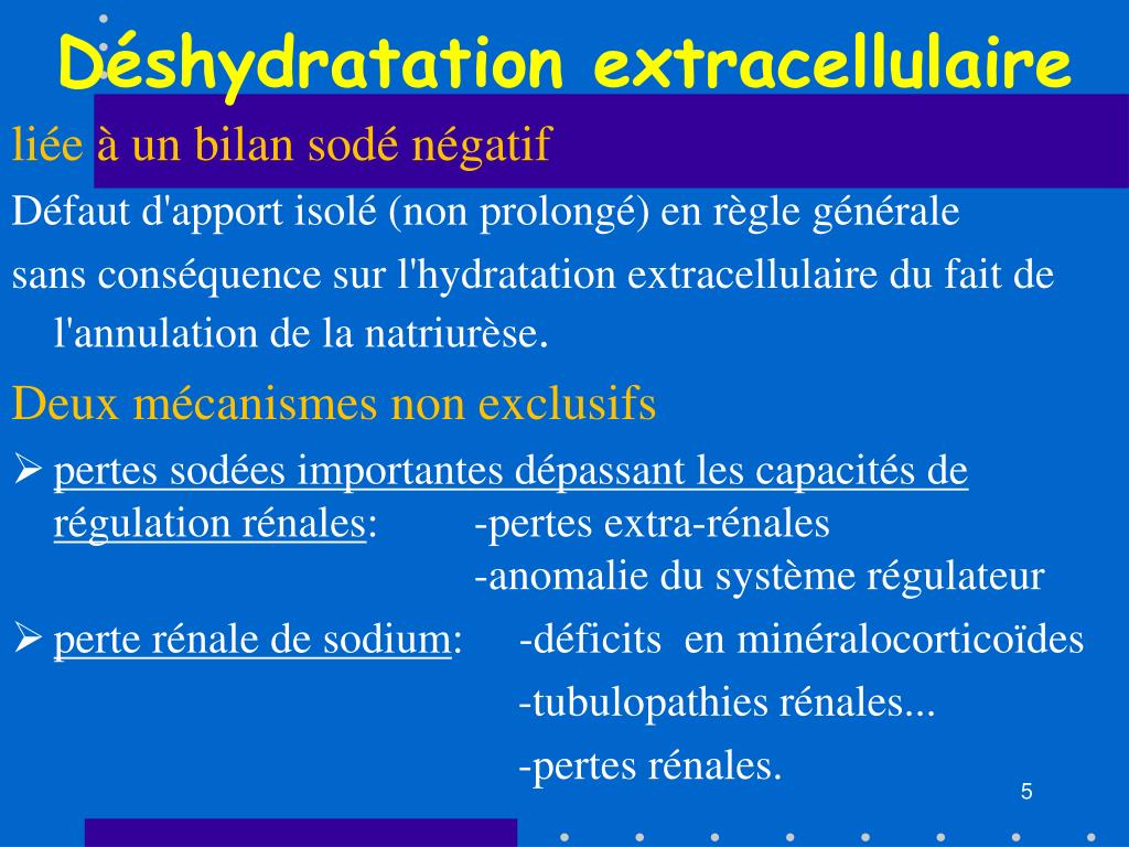 PPT Dr Sophie NOEL Centre pour Personnes âgées HCC 3/11/08 PowerPoint — free download