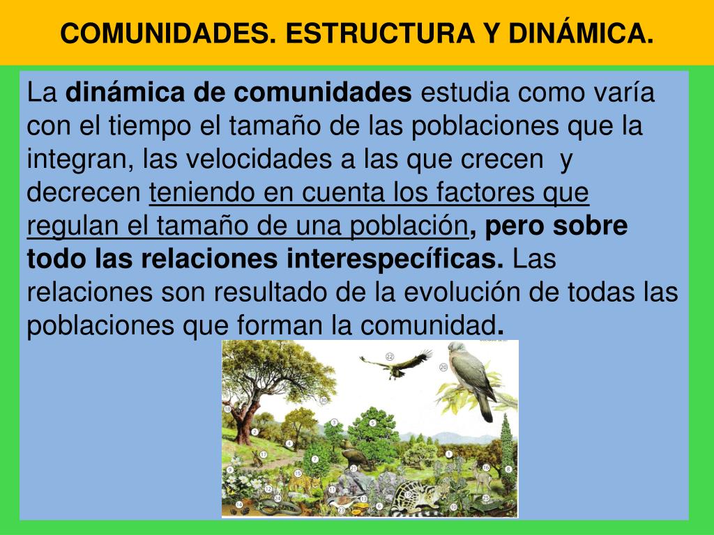 PPT ECOSISTEMAS II Dinámica de poblaciones y comunidades