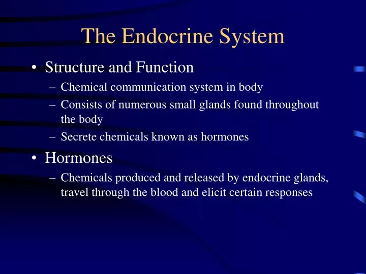 the endocrine system n.