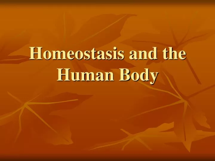 homeostasis and the human body n.
