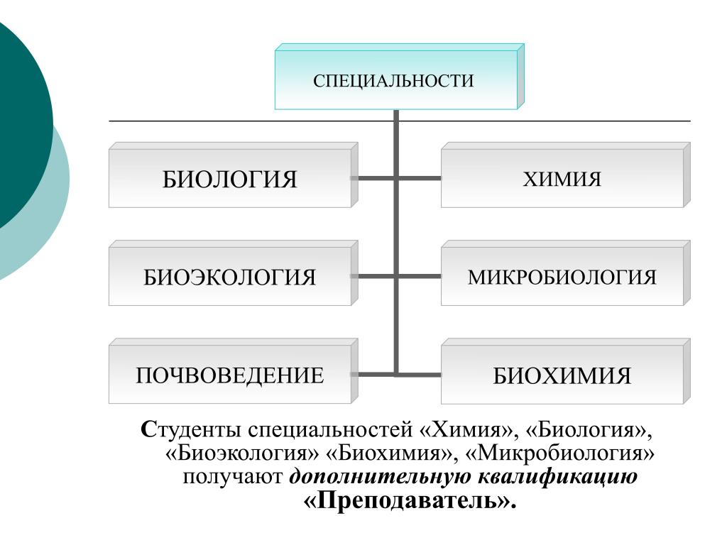 10 работ связанных с биологией