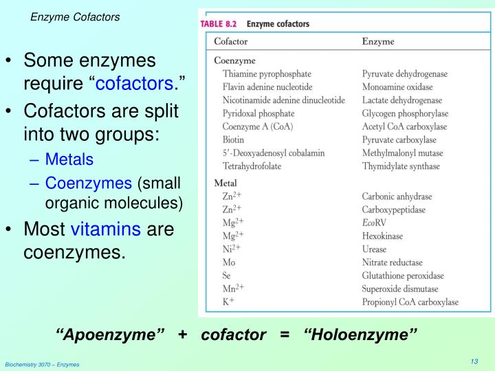 PPT Enzymes PowerPoint Presentation ID89282