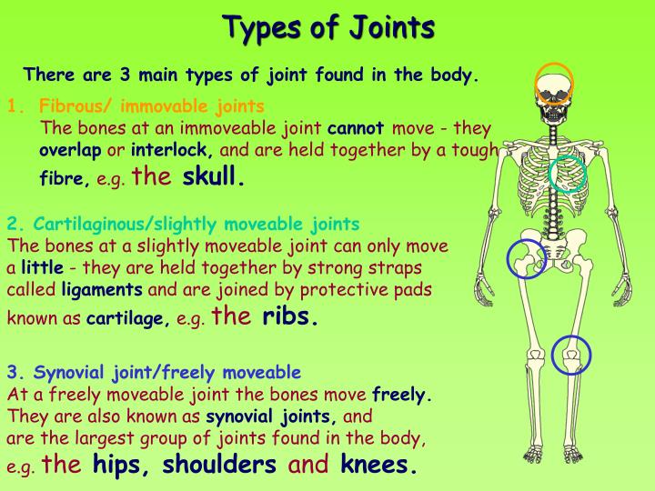 Ppt Joints Powerpoint Presentation Free Download Id 428