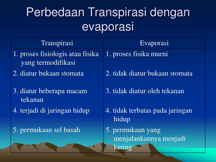 PPT - TRANSPIRASI PowerPoint Presentation - ID:897936