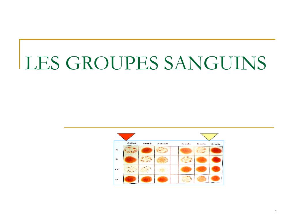 PPT - LES GROUPES SANGUINS PowerPoint Presentation, free download ...