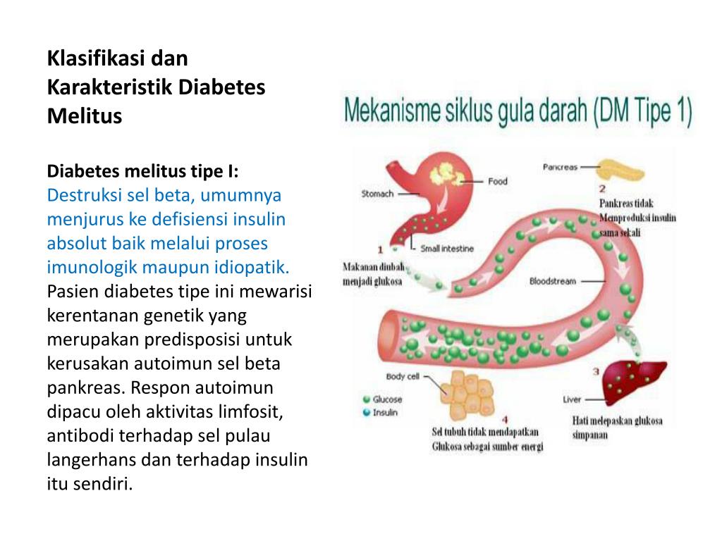 PPT - Kehamilan & Diabetes Mellitus PowerPoint Presentation, free