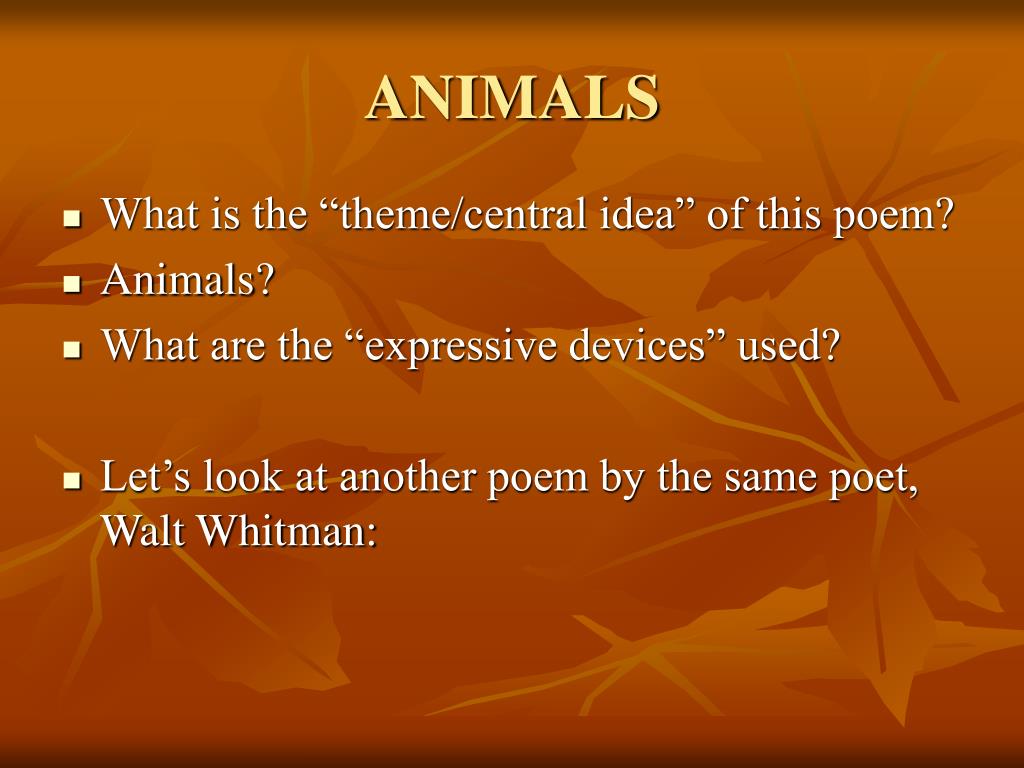 PPT - HS 204: Introduction to Literature: Poetry Section Spring 2008  PowerPoint Presentation - ID:90318