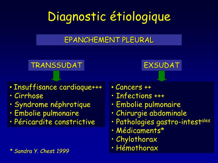 PPT - Les épanchements pleuraux en réanimation PowerPoint Presentation ...