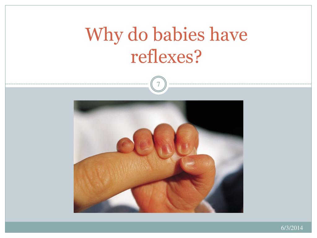 PPT - Students will be able to describe a newborn. PowerPoint ...