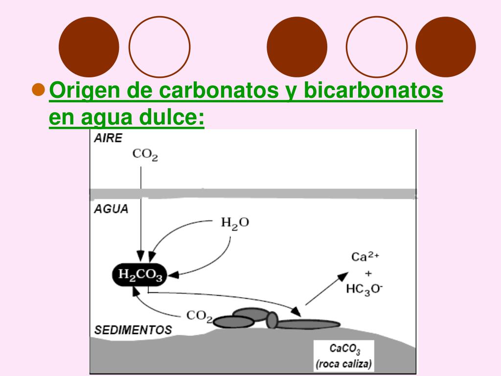 PPT - ALCALINIDAD PowerPoint Presentation, free download - ID:906152