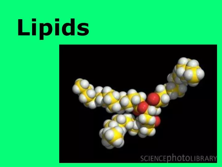 powerpoint presentation on lipids