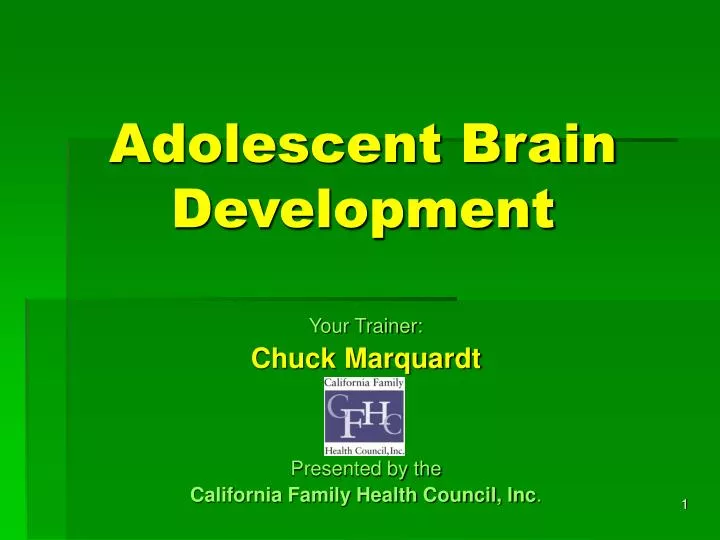 adolescent brain development n.