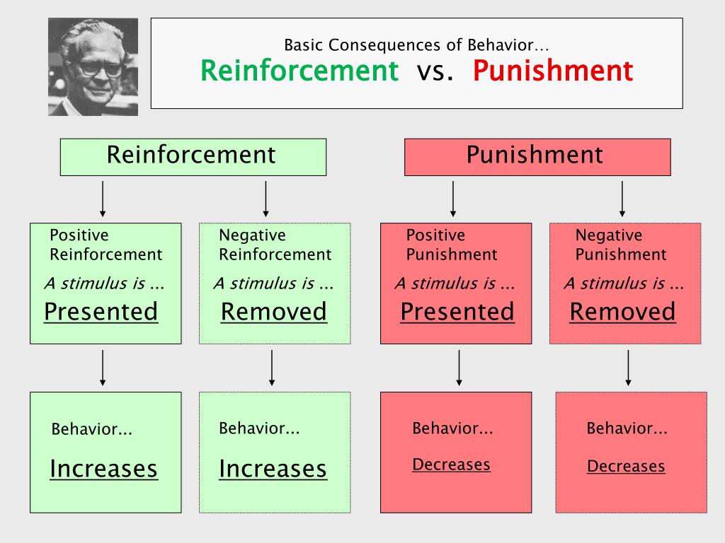 reinforcement vs punishment
