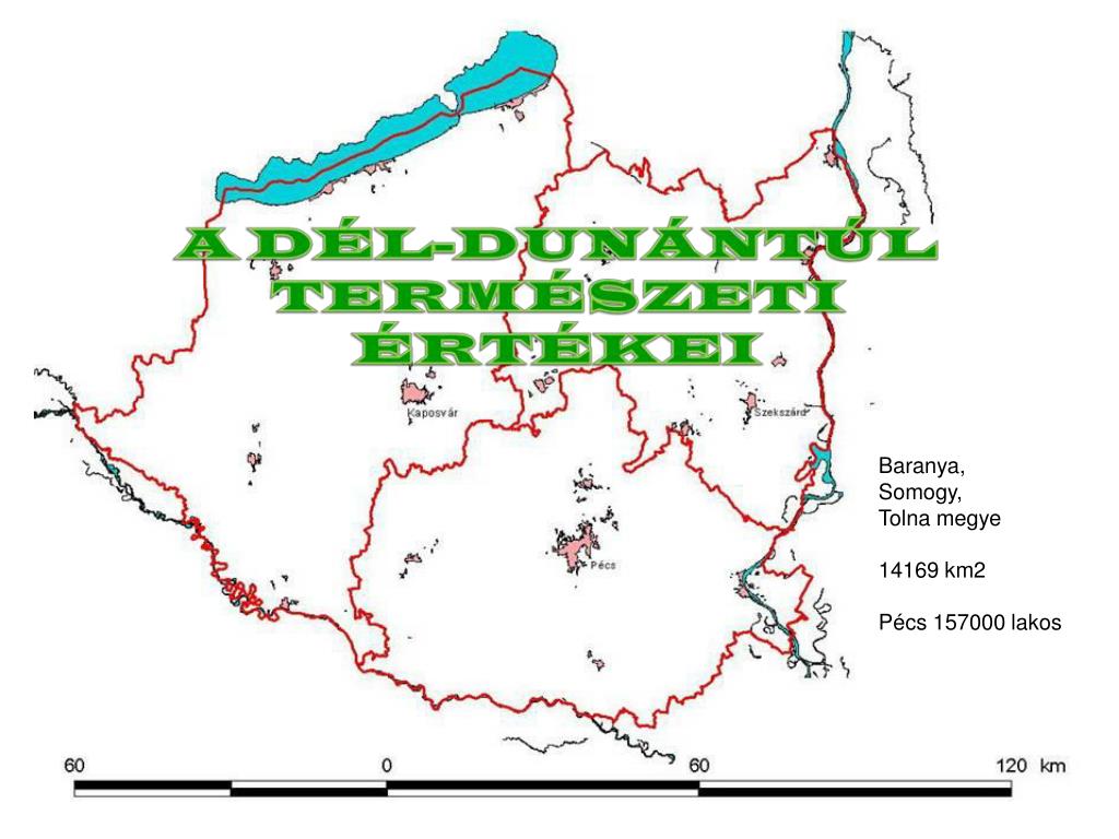 PPT - Baranya, Somogy, Tolna megye 14169 km2 Pécs 157000 lakos PowerPoint  Presentation - ID:912869