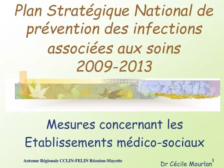 PPT - Plan Stratégique National de prévention des infections associées ...