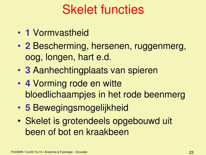PPT - Anatomie / fysiologie Circulatie PowerPoint Presentation - ID:914655