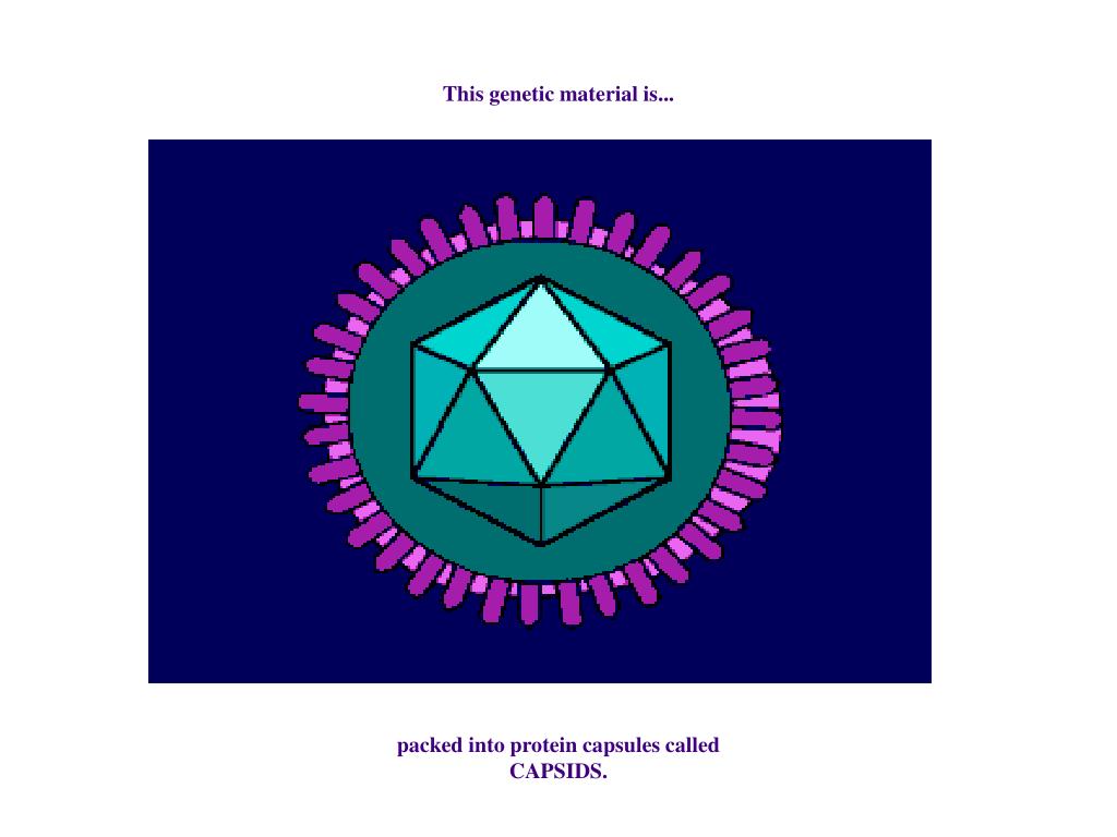 PPT Distinguishing characteristics of viruses • Obligate