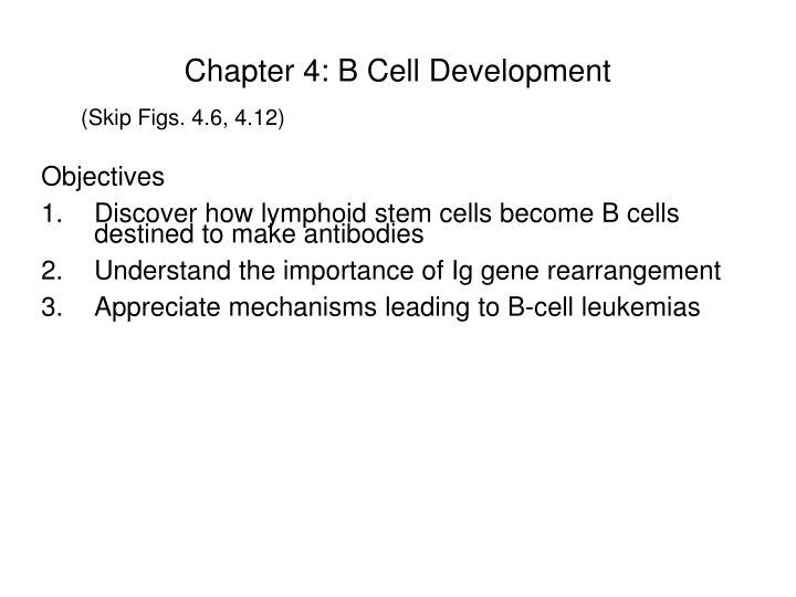 PPT - Chapter 4: B Cell Development PowerPoint Presentation, Free ...