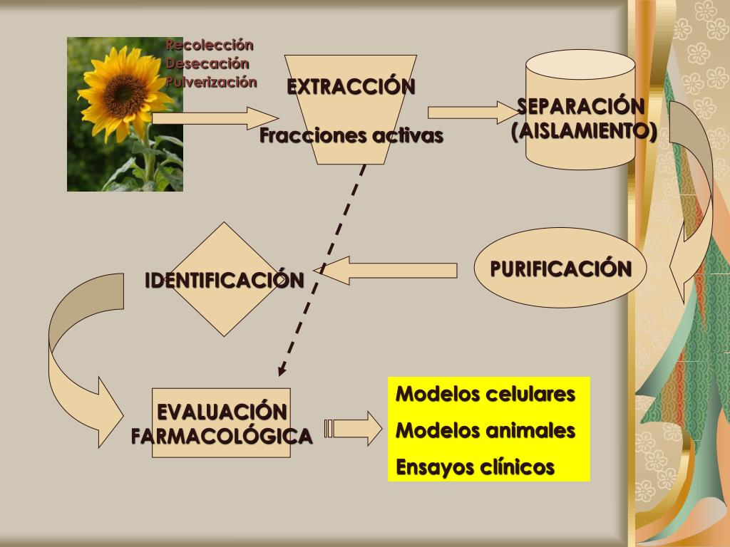 PPT - Métodos generales de extracción y purificación de p.a. de drogas