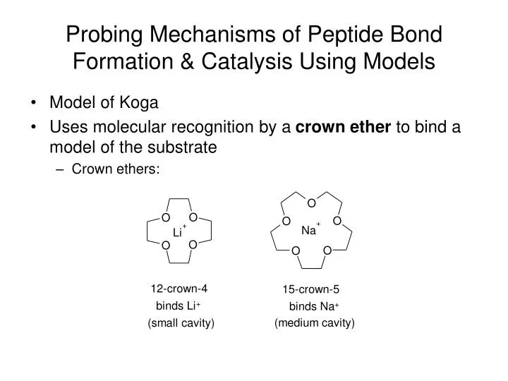 probing mechanisms of peptide bond formation catalysis using models n.