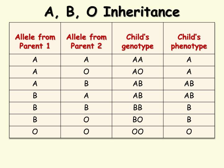 Ppt Blood Type Genetics Powerpoint Presentation Free Download Id 9167 Ppt Blood Type Genetics Powerpoint Presentation Free Download Id 9167