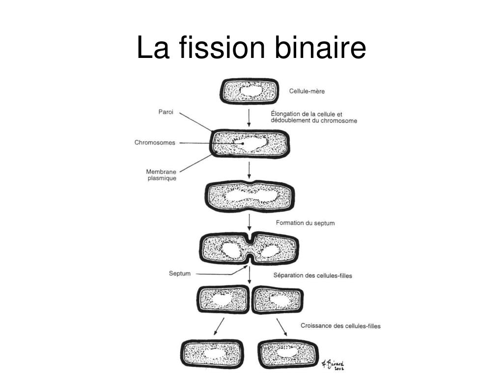 Alchemistry Fission Multiblock. Lining Fission 7. Fission перевод