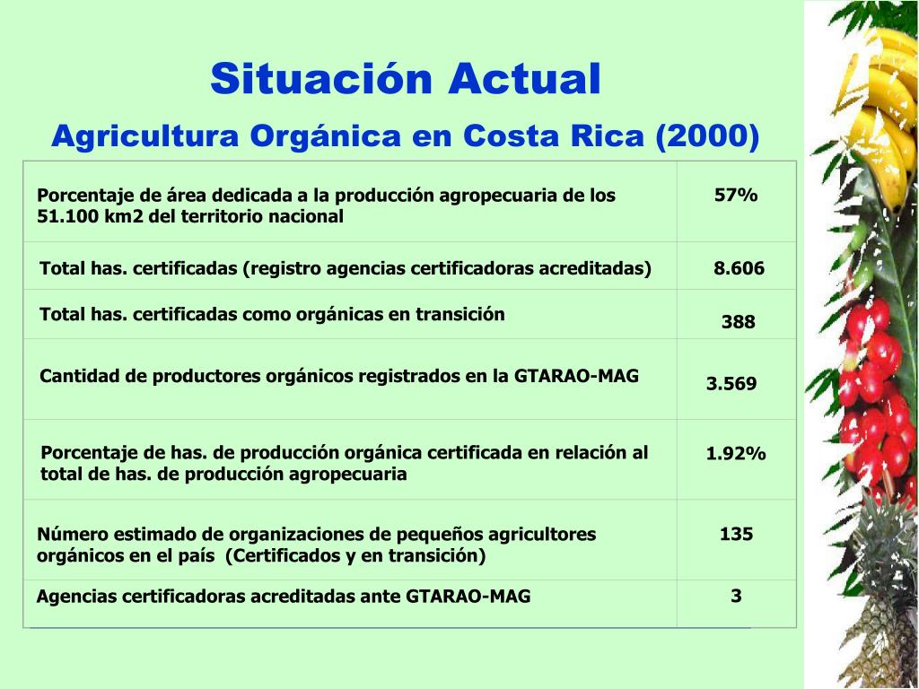 Ppt Programa Nacional De Agricultura Orgánica Costa Rica Powerpoint Presentation Id 917529