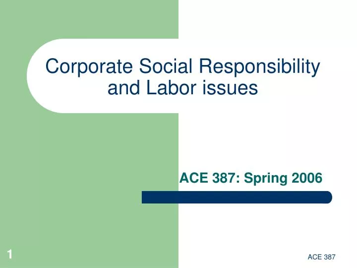 corporate social responsibility and labor issues n.