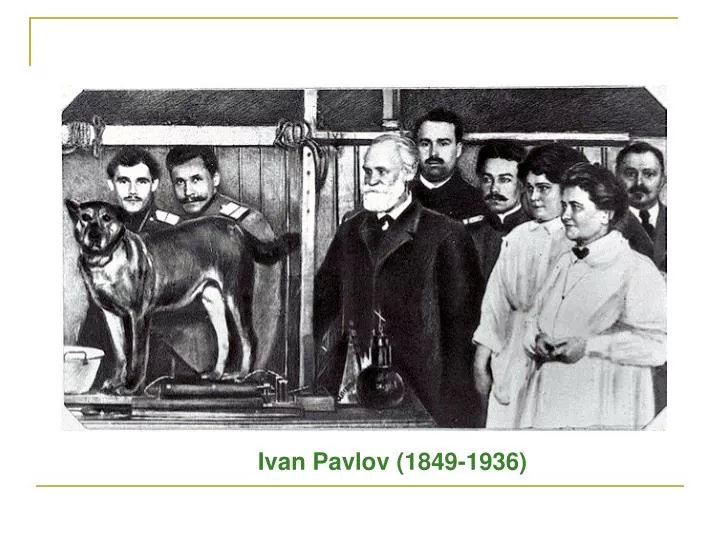 PPT - Ivan Pavlov (1849-1936) PowerPoint Presentation, free download ...