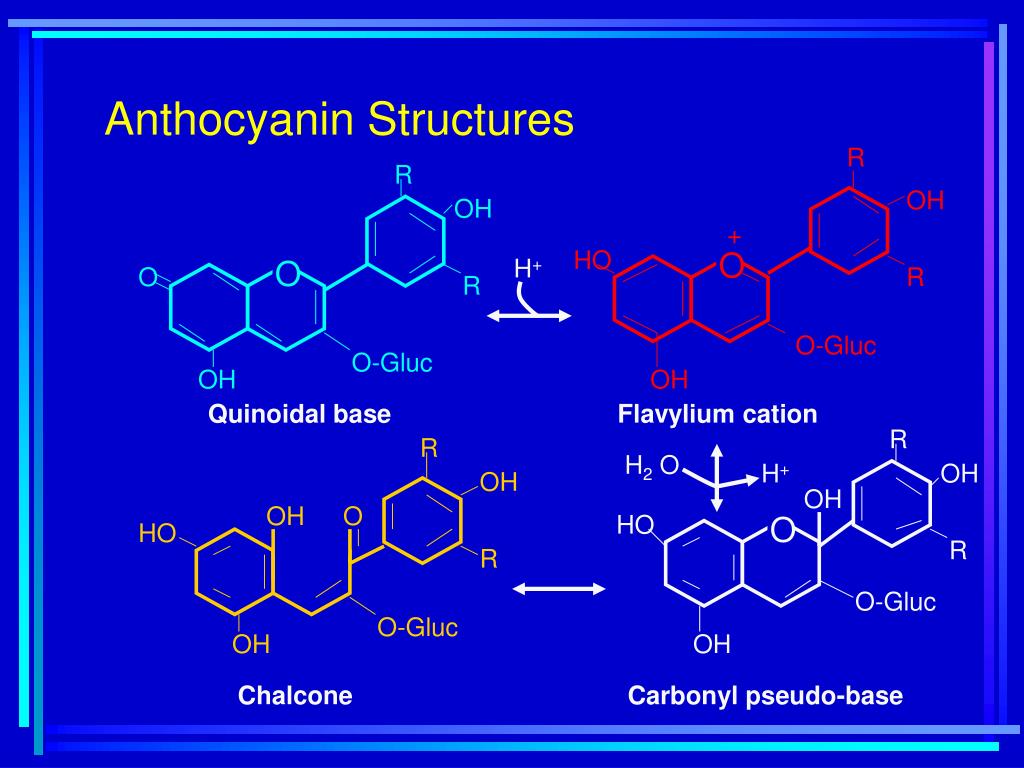 PPT Lecture 6 PowerPoint Presentation Free Download ID 919511