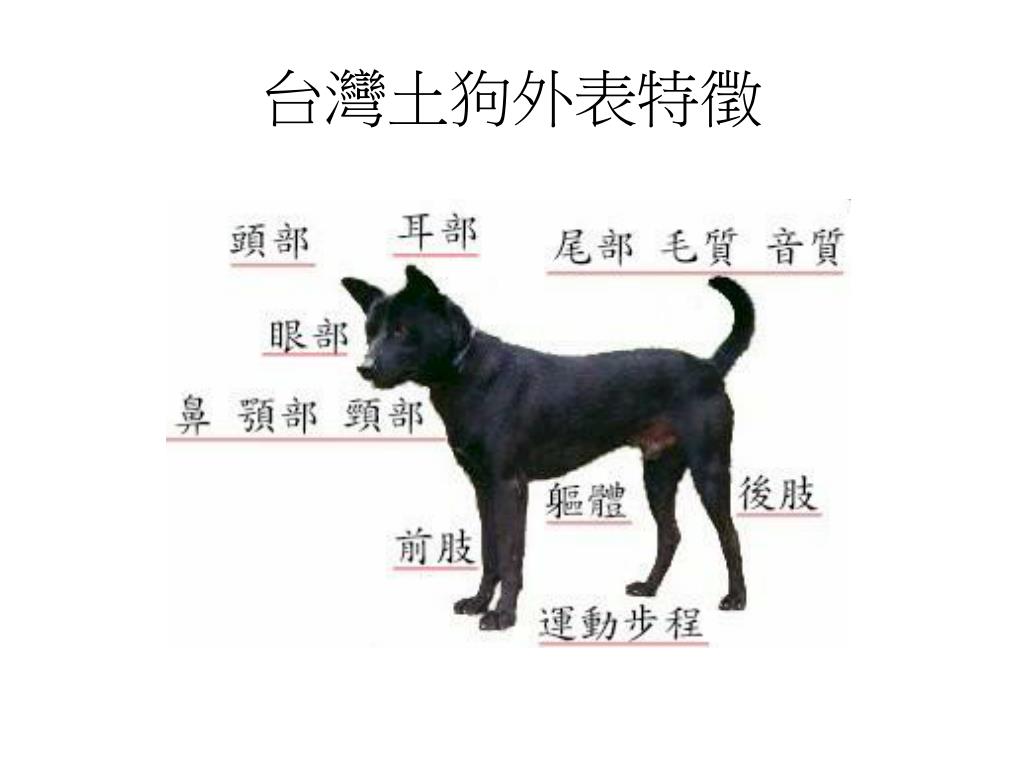 Ppt 組長 蔣宜勤副組長 陳美伃組員 李信昌 鍾龍飛 陳妍卉powerpoint Presentation Id 9587 Ppt 組長 蔣宜勤副組長 陳美伃組員 李信昌 鍾龍飛 陳妍卉powerpoint Presentation Id 9587