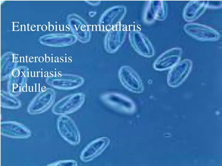 Oxiuriasis of enterobiasis Oxiuriasis enterobius vermicularis tratamiento