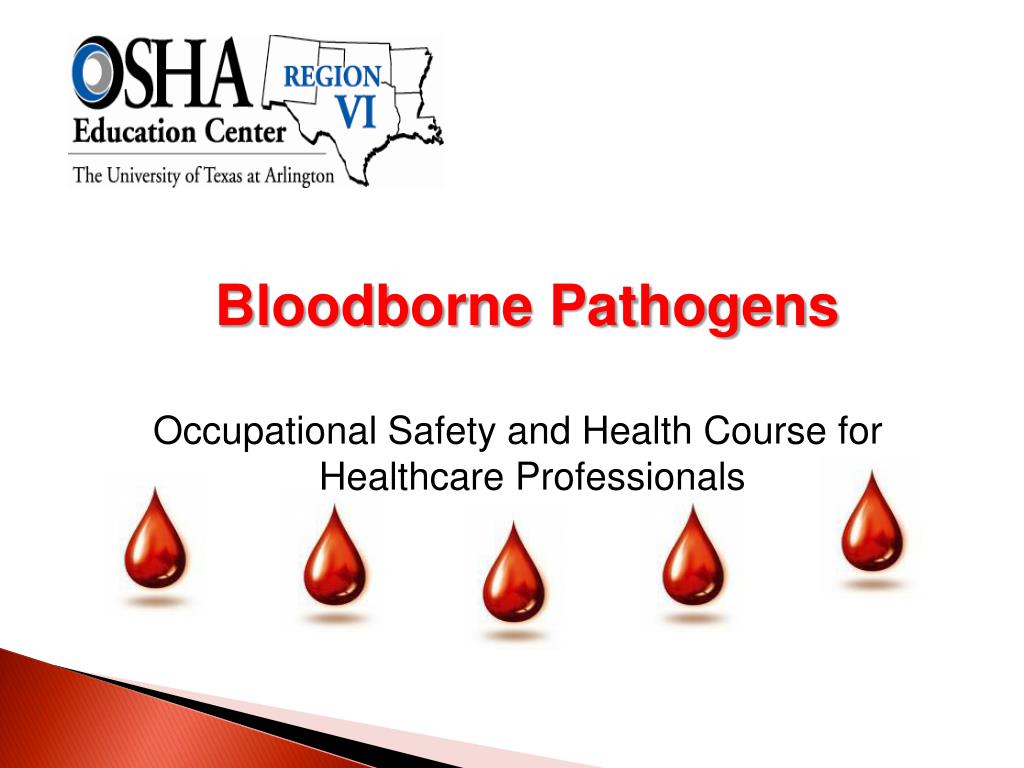Ppt Bloodborne Pathogens Powerpoint Presentation Free Download Id 923666