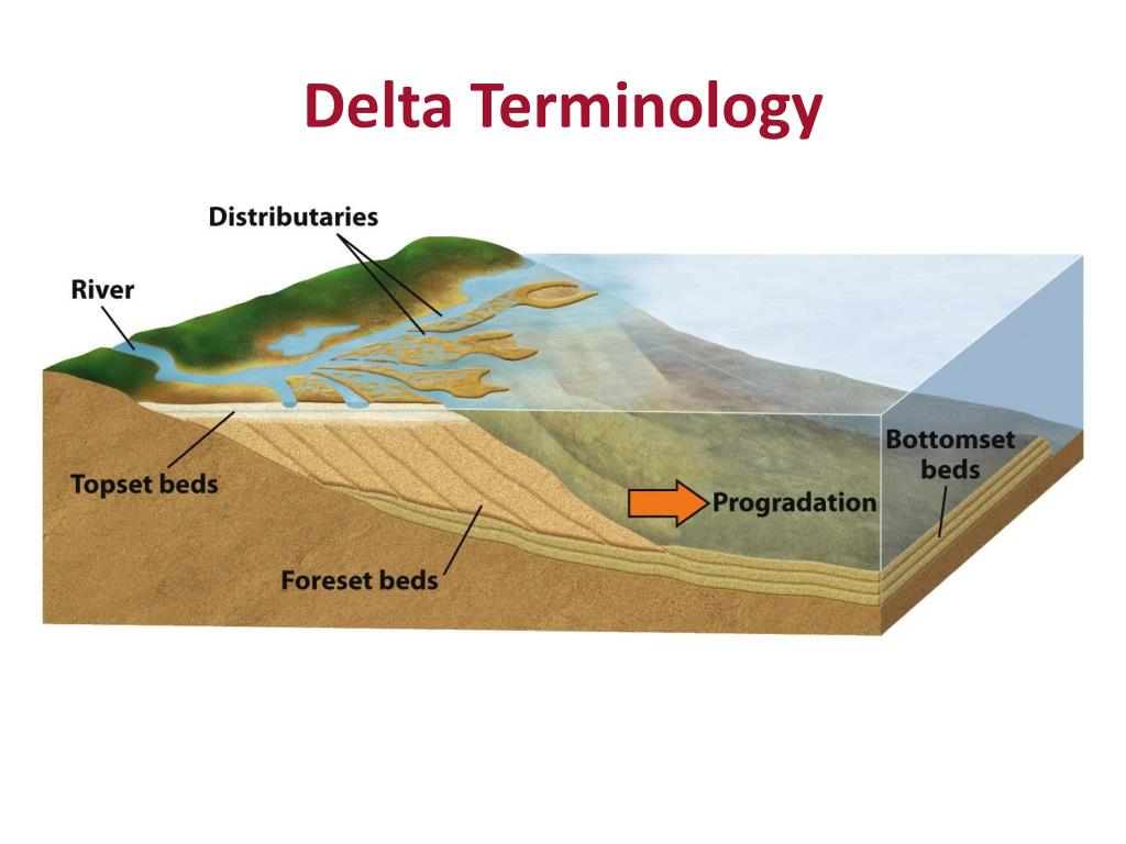 Environmental processes. Delta Geology. Fan Delta Geology. Geo Terminal. Trunk channel of Delta Geology.