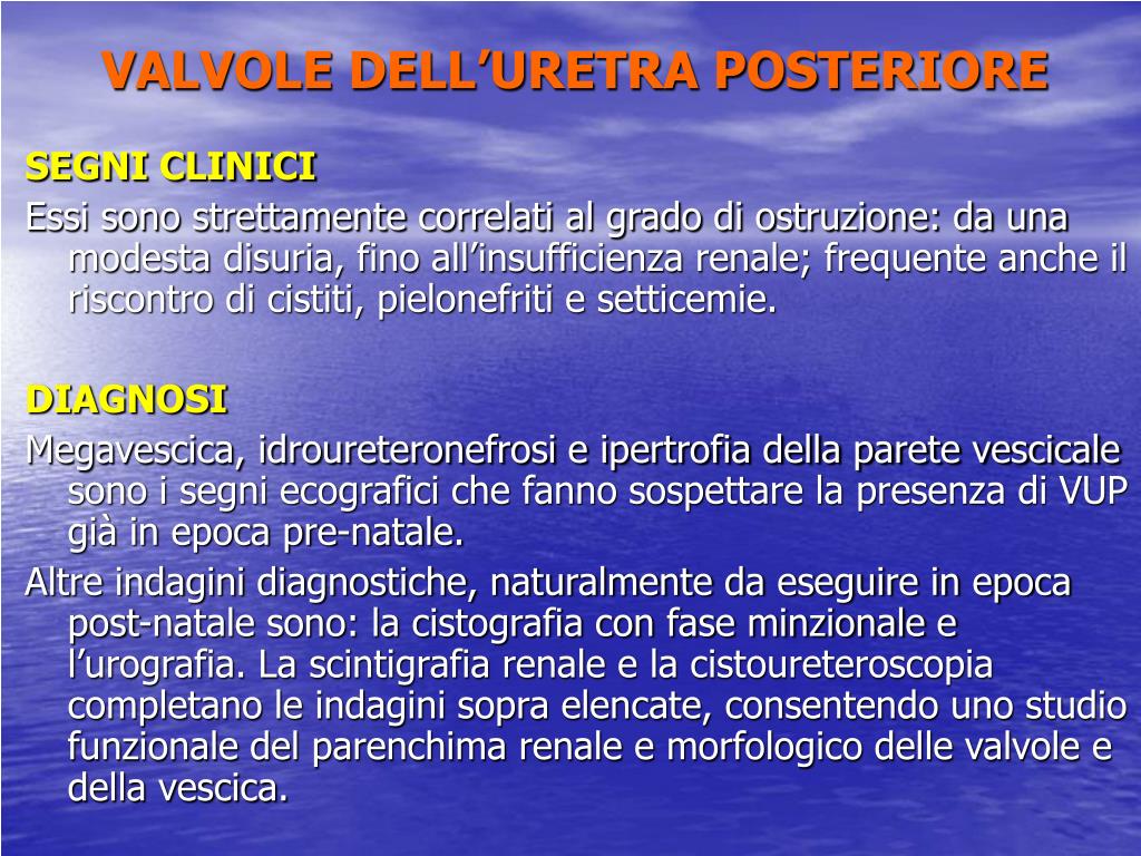 doppio distretto renale e agenesia rene unilaterales
