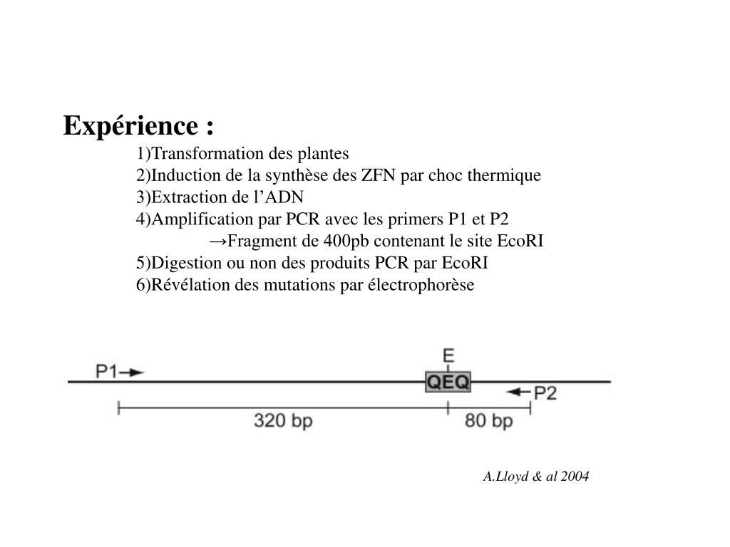 Rapport 2014 De L Institut Pasteur De Tunis