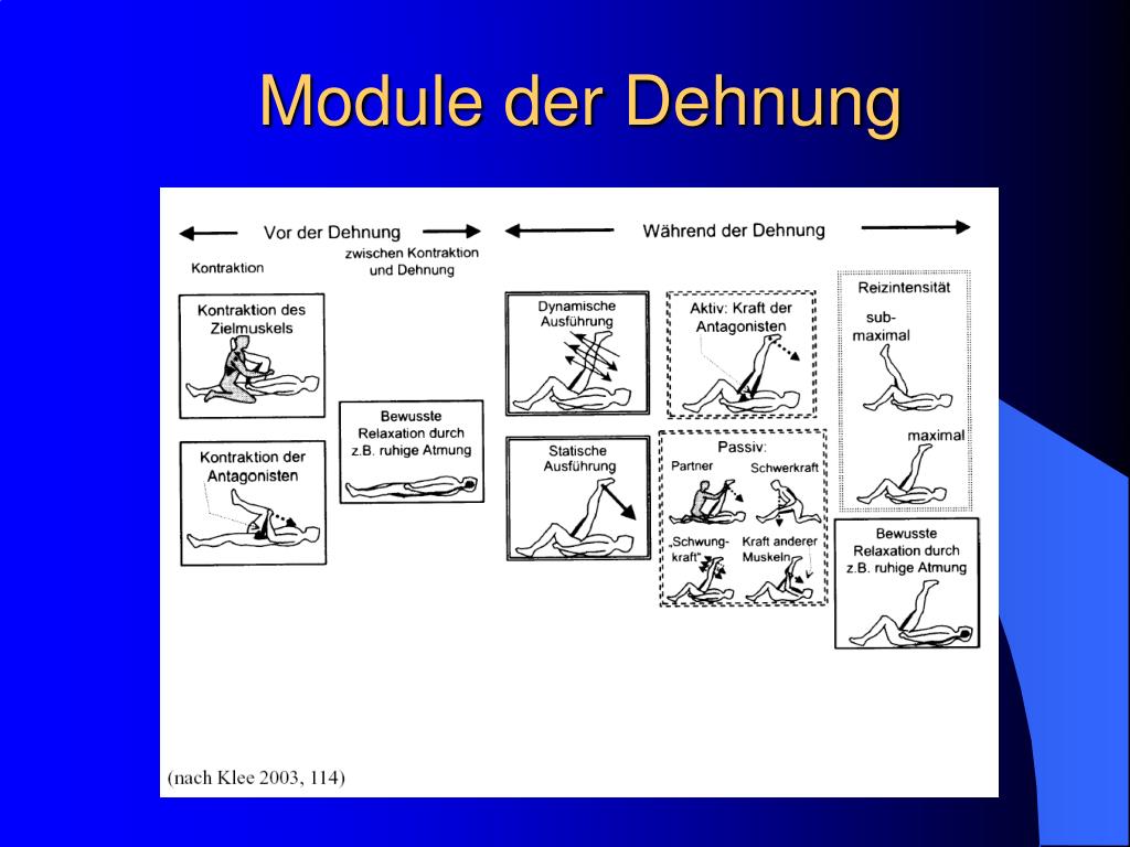 PPT Ist Dehnen out? Dr. Martin Hillebrecht Carl von Ossietzky