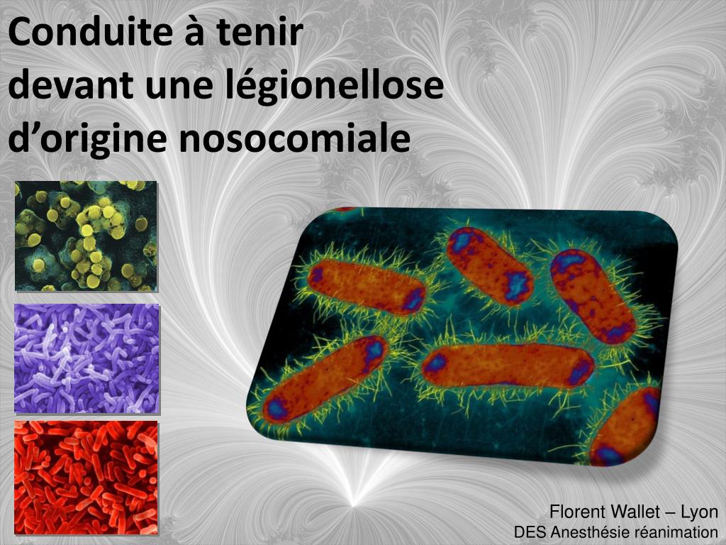 Ppt Conduite A Tenir Devant Une Legionellose D Origine Nosocomiale Powerpoint Presentation Id 927180